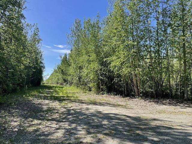 NHN Badger Road - Photo 1