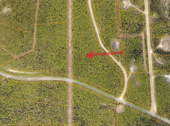 Lot 1 Sunlight Drive - Photo 1