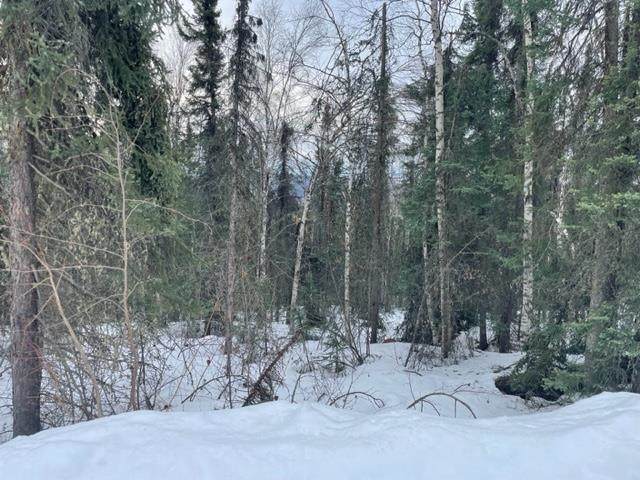 https://bt-photos.global.ssl.fastly.net/fairbanks/orig_boomver_1_159838-2.jpg