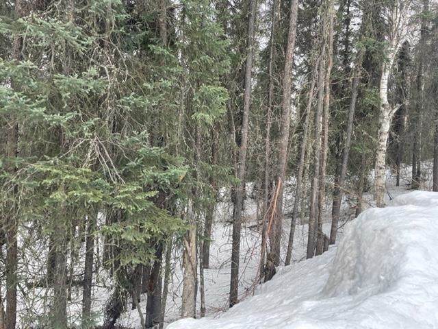 https://bt-photos.global.ssl.fastly.net/fairbanks/orig_boomver_1_159838-2.jpg