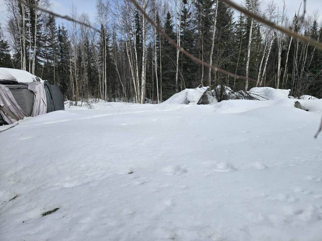 1642 Woll Road - Photo 1