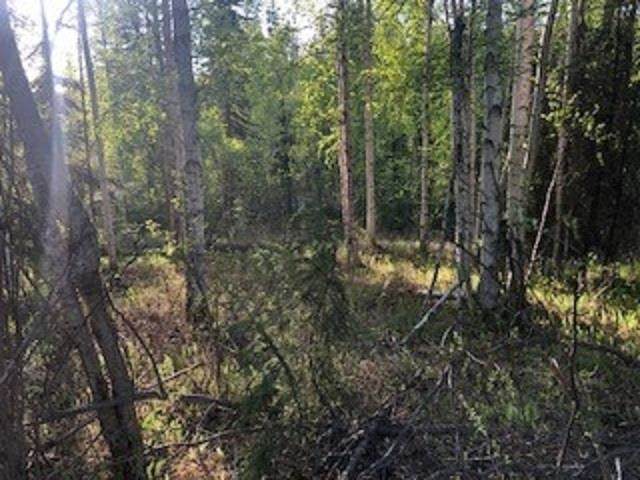 https://bt-photos.global.ssl.fastly.net/fairbanks/orig_boomver_1_160034-2.jpg