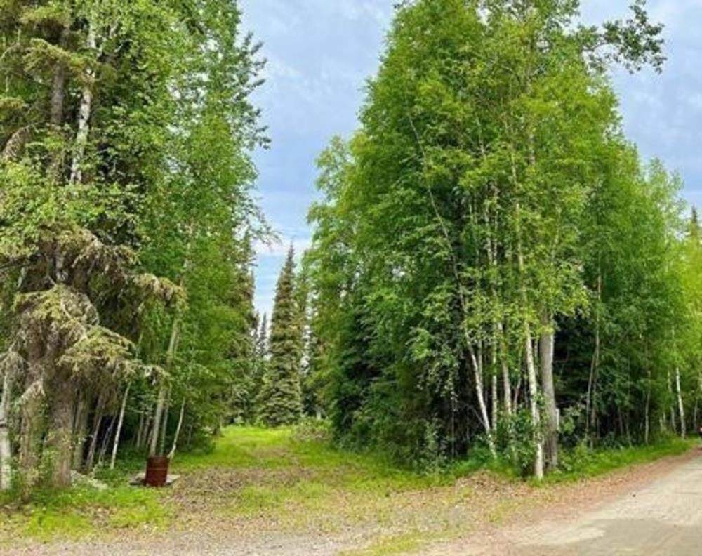https://bt-photos.global.ssl.fastly.net/fairbanks/orig_boomver_1_160194-2.jpg