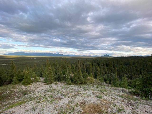 NHN Ft. Greely Ridge Road - Photo 1