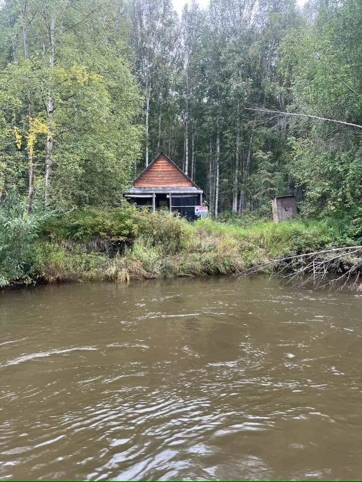 Lot 5 Chena River - Photo 1