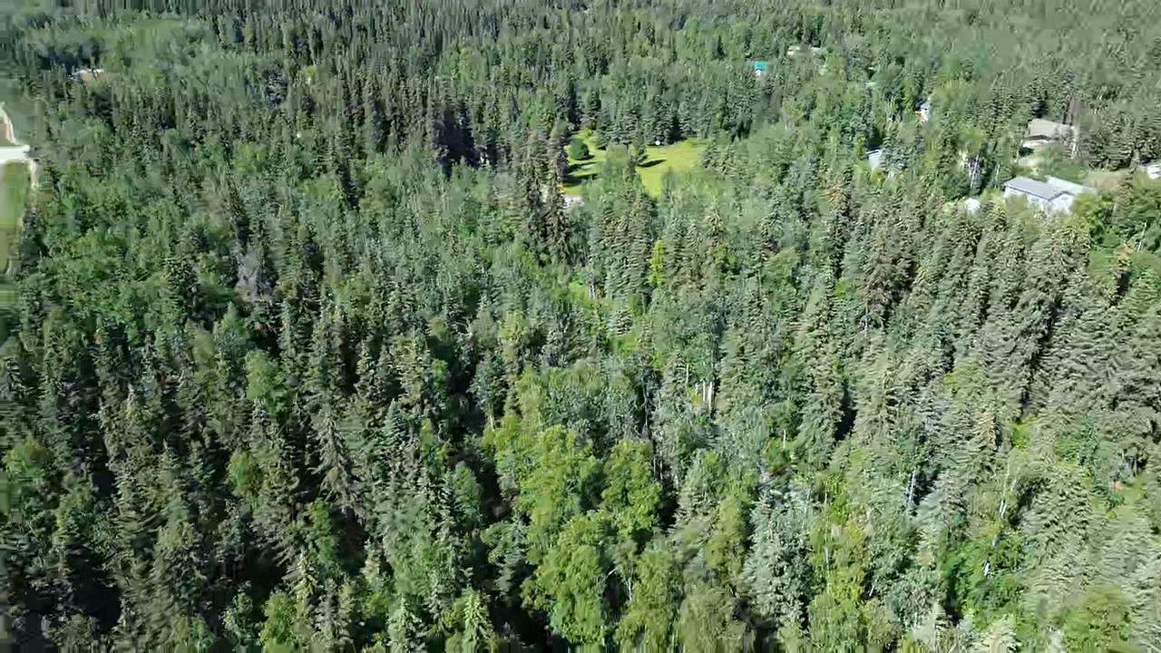 Lot 7 Bobbet Avenue - Photo 1