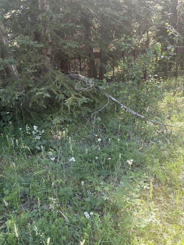 https://bt-photos.global.ssl.fastly.net/fairbanks/orig_boomver_1_160810-2.jpg