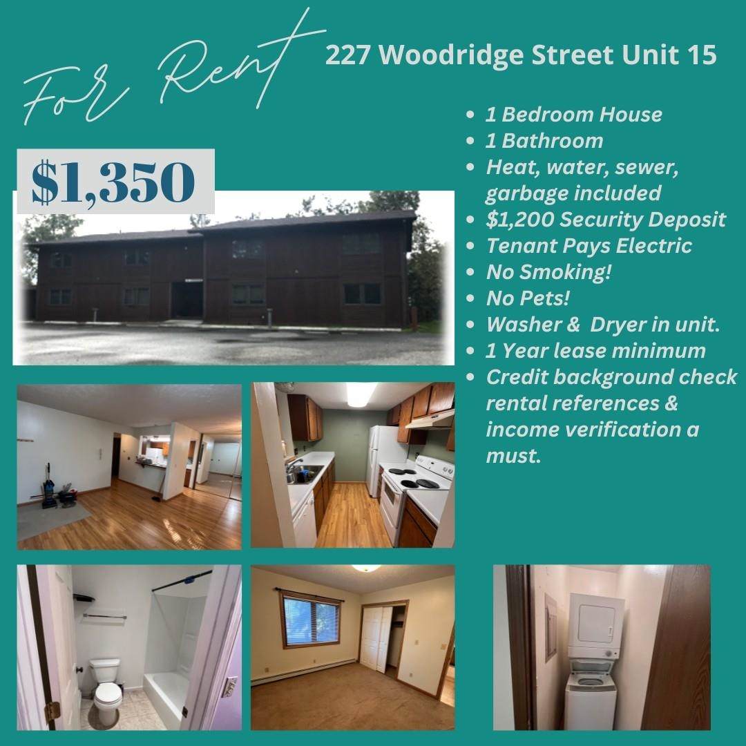 227 Woodridge Street - Photo 1