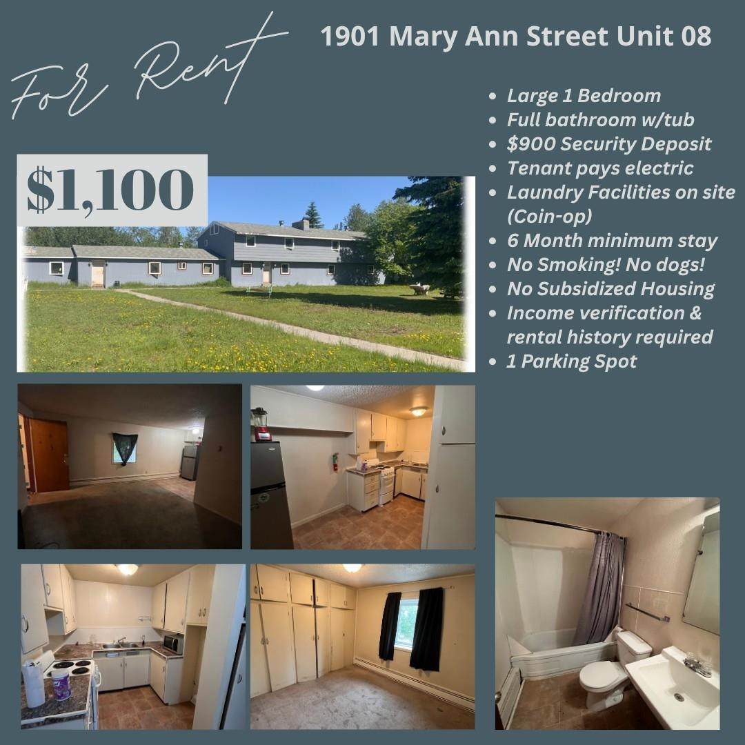1901 Mary Ann Street - Photo 1
