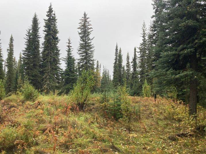 https://bt-photos.global.ssl.fastly.net/fairbanks/orig_boomver_1_161302-2.jpg