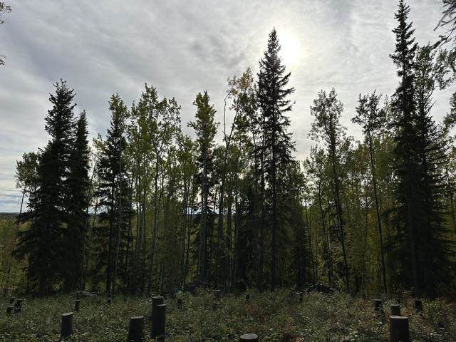 https://bt-photos.global.ssl.fastly.net/fairbanks/orig_boomver_1_161317-2.jpg