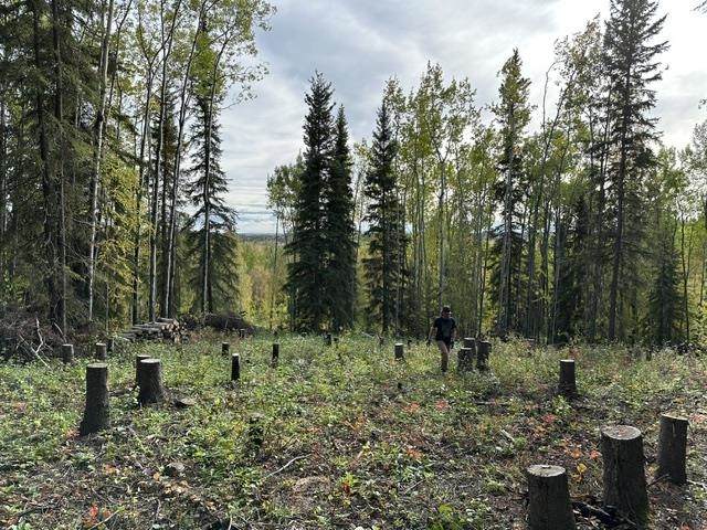 https://bt-photos.global.ssl.fastly.net/fairbanks/orig_boomver_1_161317-2.jpg