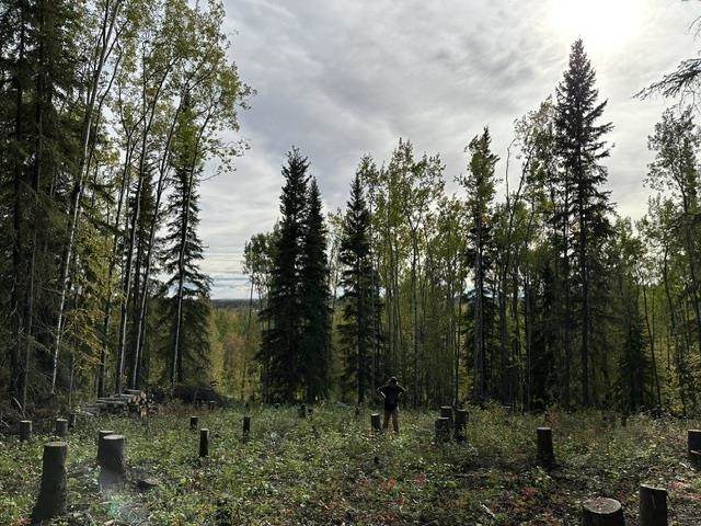 https://bt-photos.global.ssl.fastly.net/fairbanks/orig_boomver_1_161317-2.jpg
