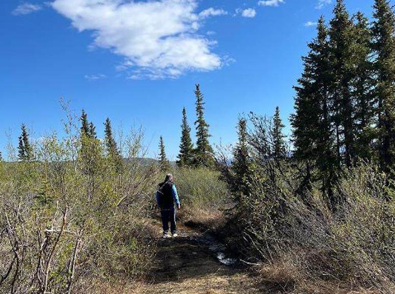 https://bt-photos.global.ssl.fastly.net/fairbanks/orig_boomver_1_161355-2.jpg