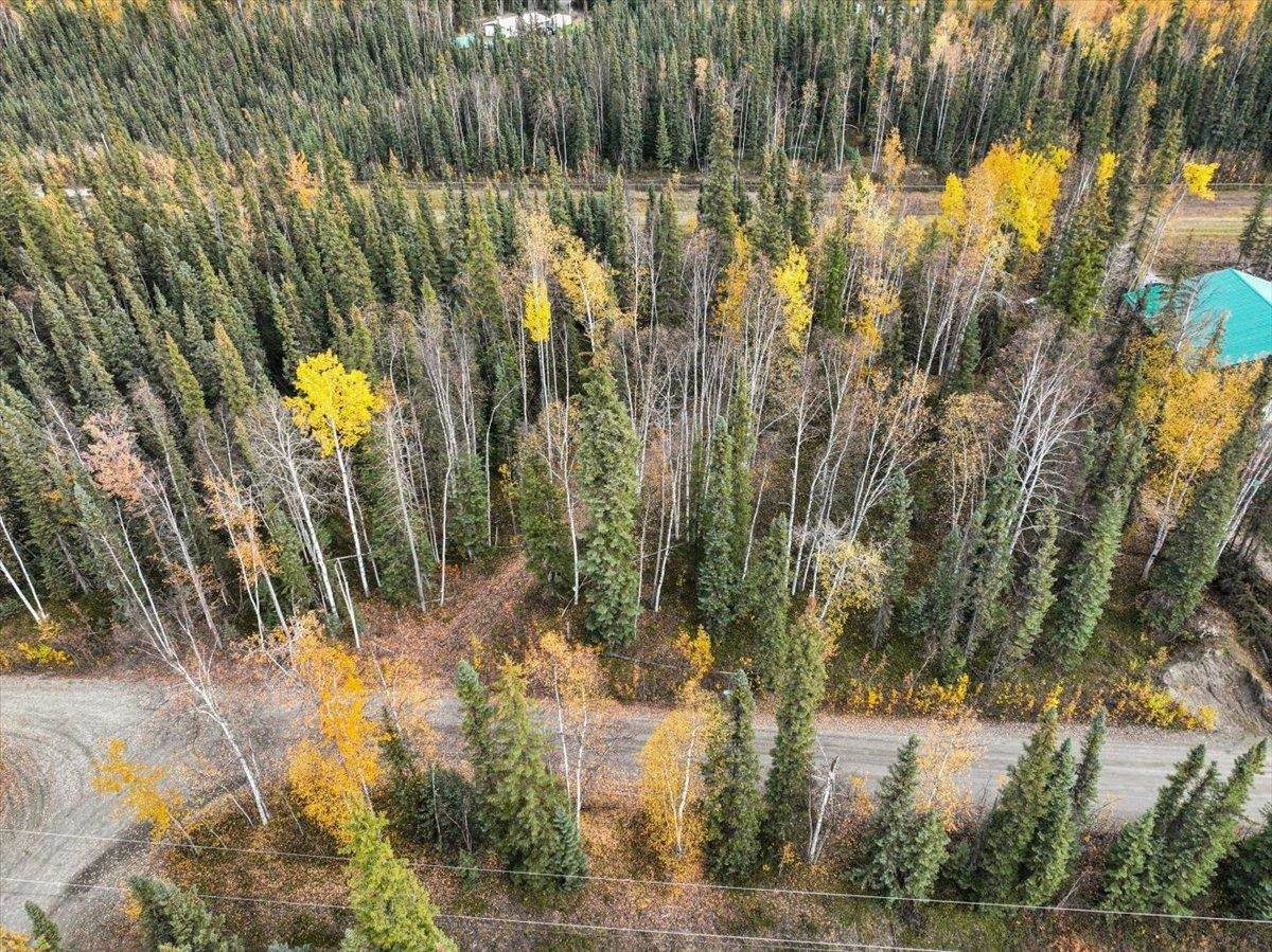 NHN Timber Trail - Photo 1