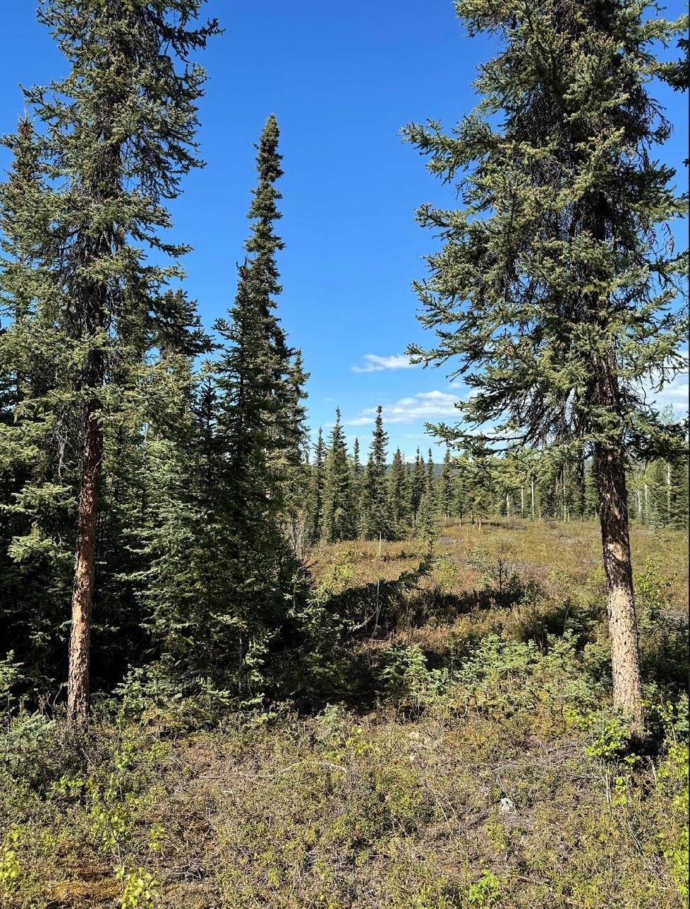 https://bt-photos.global.ssl.fastly.net/fairbanks/orig_boomver_1_161444-2.jpg