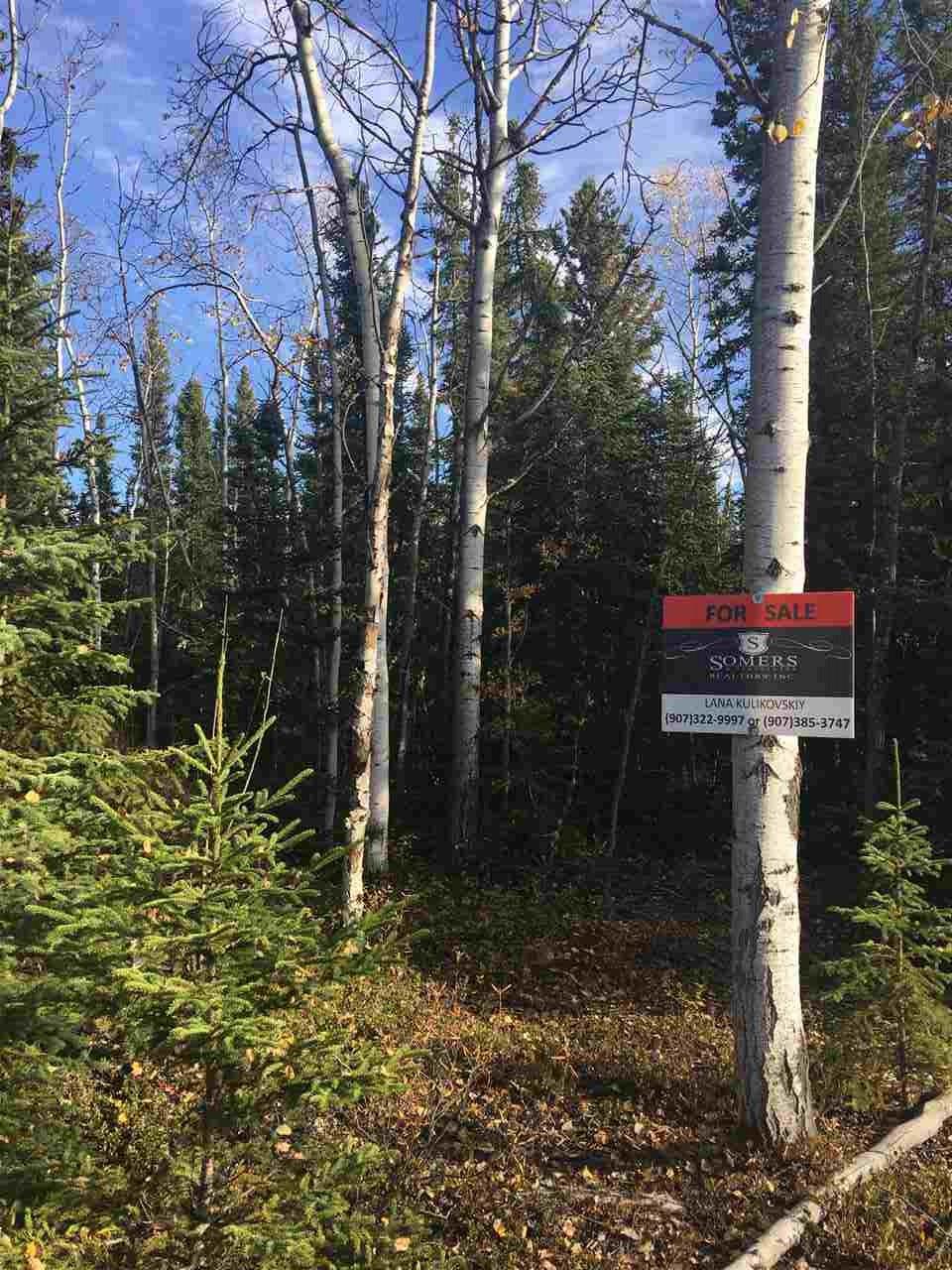 NHN Ptarmigan Drive - Photo 1