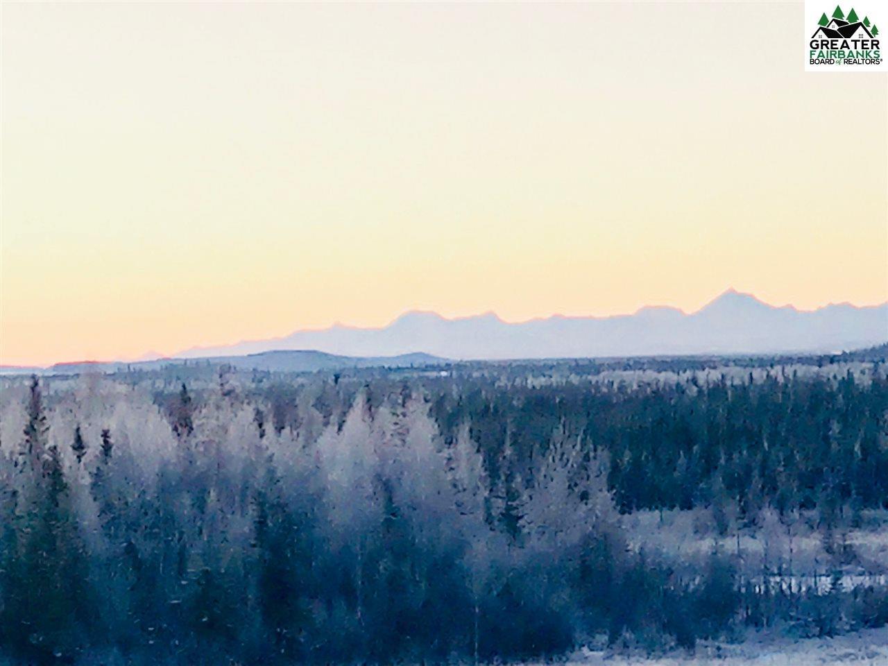 NHA-R-1 Chena Hot Springs Road - Photo 1