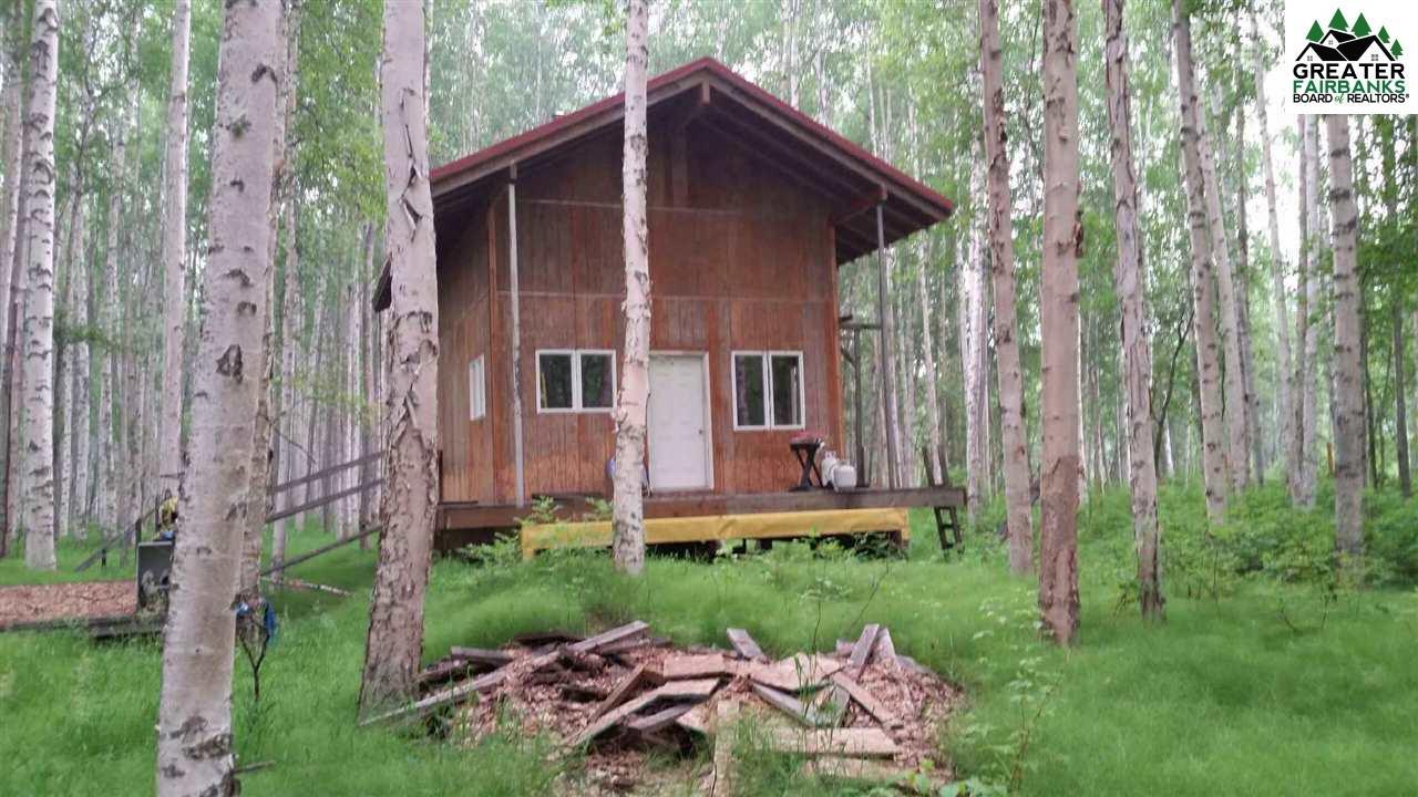 nhn Chena River - Photo 1