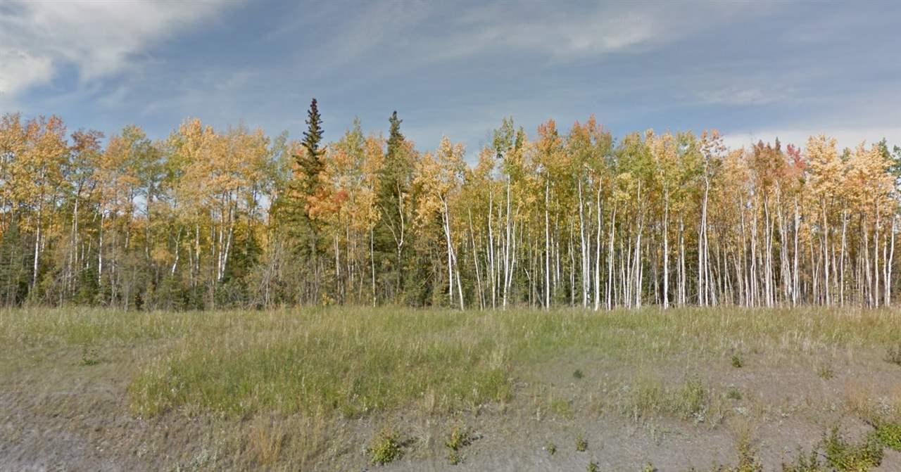 NHN George Parks Highway - Photo 1
