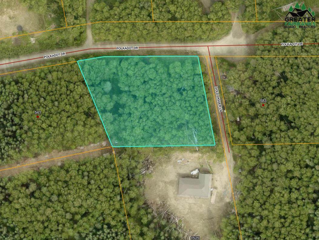 L2 B2 Polkadot Drive - Photo 1