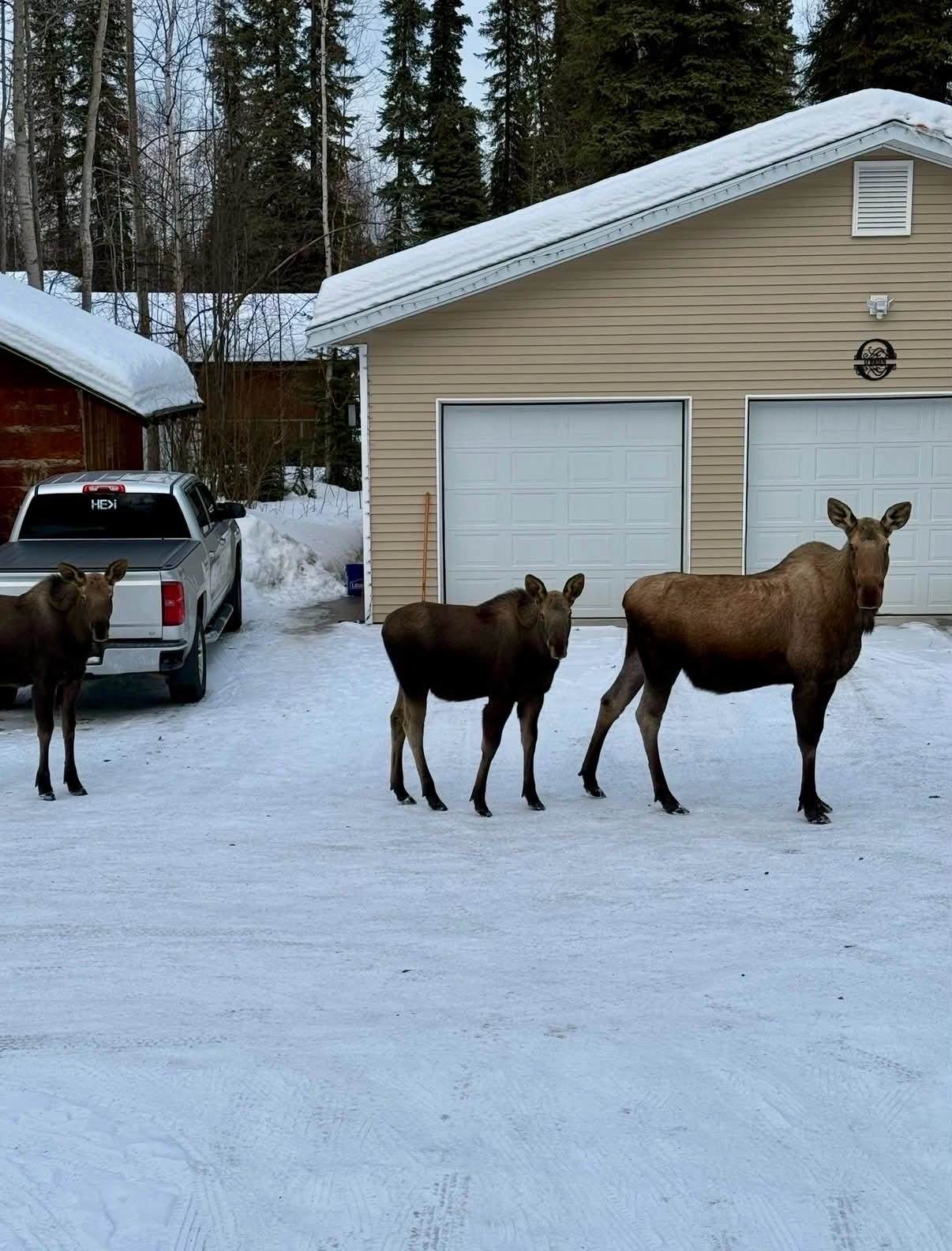 https://bt-photos.global.ssl.fastly.net/fairbanks/orig_boomver_2_160202-2.jpg