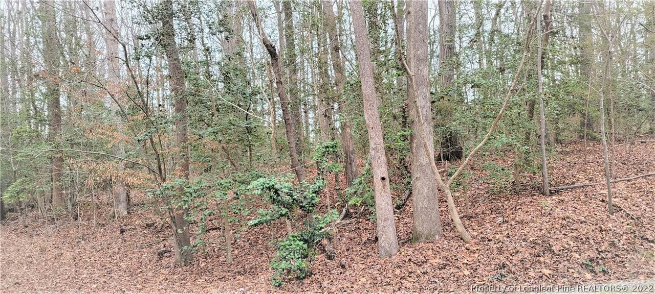5172A Meadowlark Trail - Photo 1