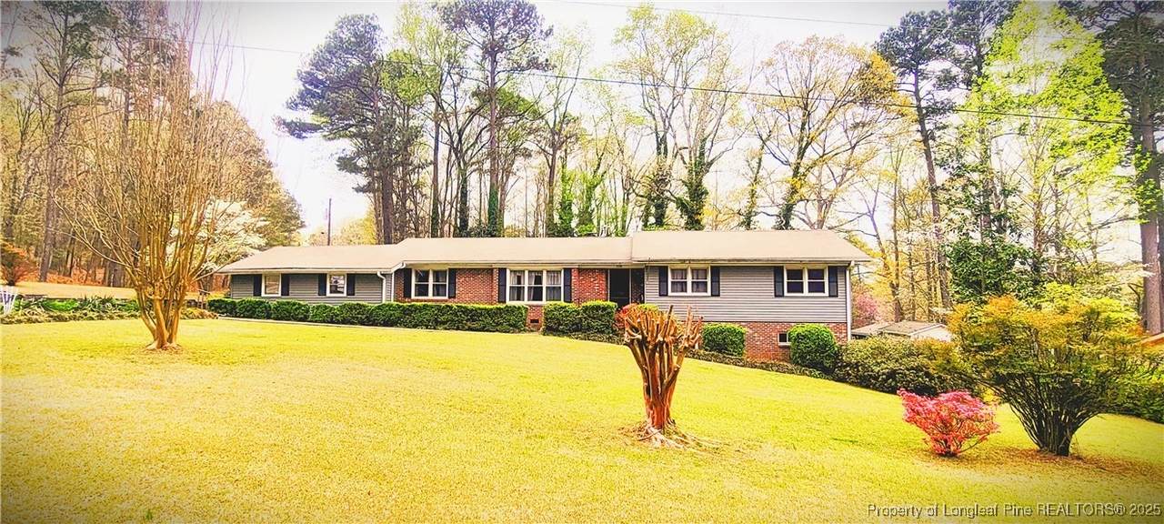 1104 Oldham Lake Road - Photo 1