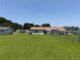 203 Centipede Lane - Photo 27