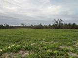 4025 Blue Springs Road - Photo 5