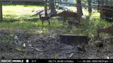 476 Basket Oak Drive - Photo 37