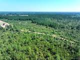 TBD Alamac (Off Of) Road - Photo 3