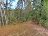 1117 Bombay Drive - Photo 23