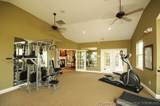 239 Nandina Court - Photo 46