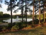 283 Education Drive - Photo 39