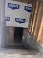 5008 Gavins Street - Photo 40