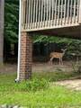 1397 Colorado Trail - Photo 40