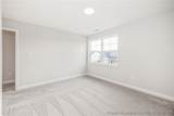 221 Meadow Sage (Lot 125) Street - Photo 19