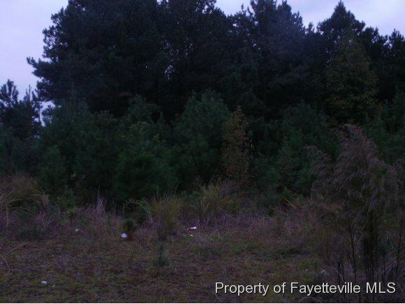 23 Pine State Street - Photo 1