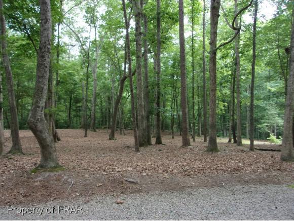 2071 Sandalwood Drive - Photo 1