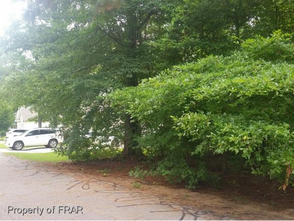 731 Elderberry - Photo 1