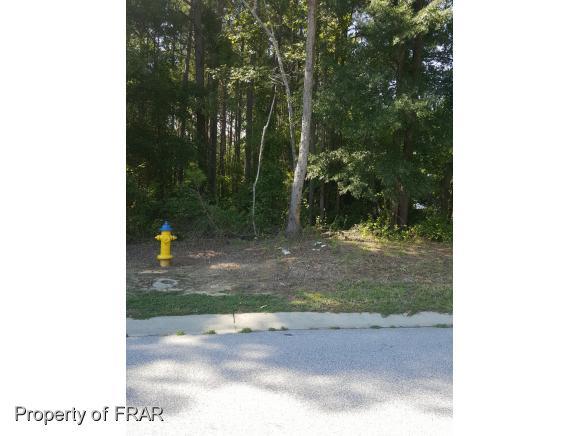 161 Pine State Street - Photo 1