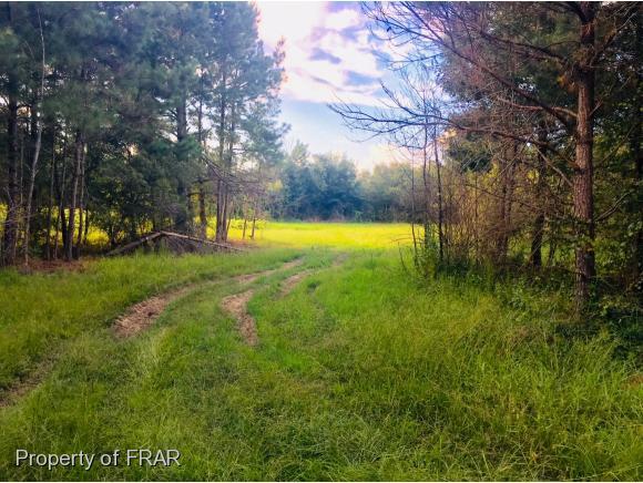 1055 Nick Mclean Road - Photo 1