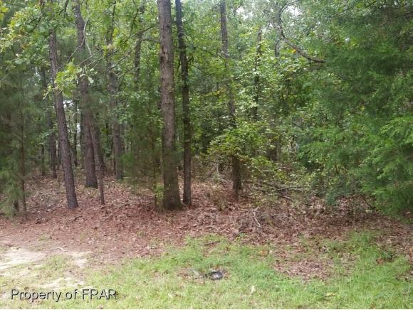 723 Tangier Drive - Photo 1
