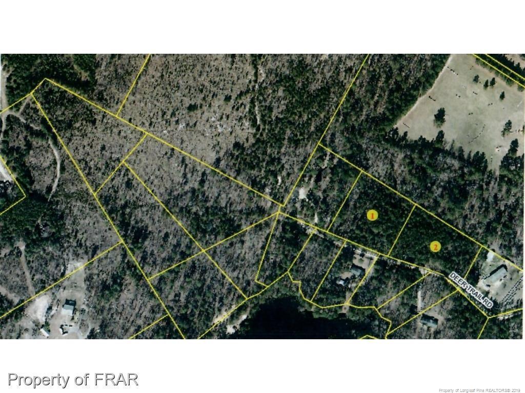 Deer Trail Road - Photo 1