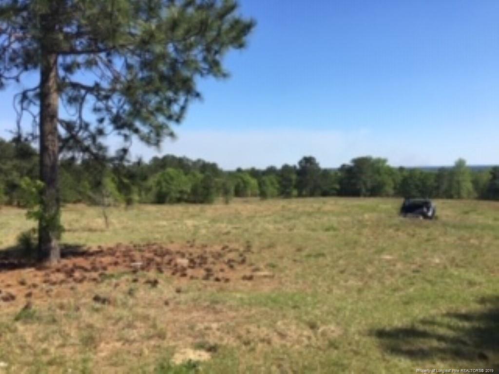 Serina Woods Drive - Photo 1