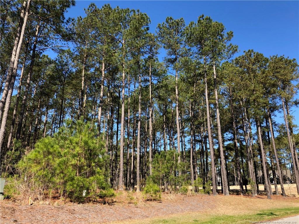 35 Heather Brook Circle - Photo 1