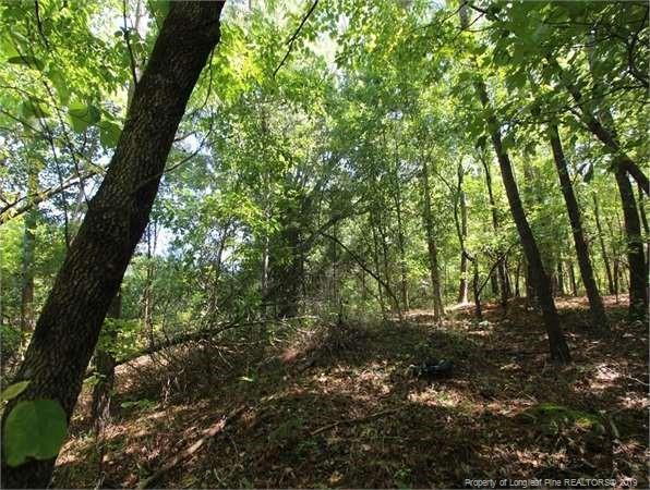 0 Lower River Road - Photo 1