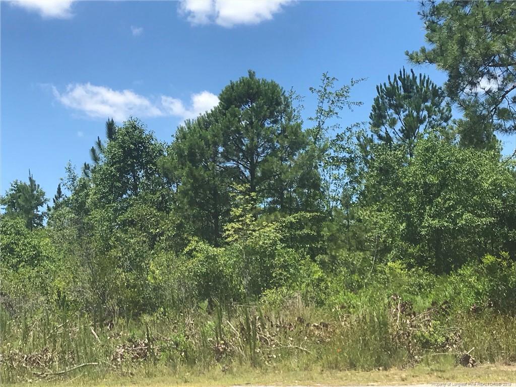 6.56 ACRES POE PROP CYPRESS POND - Photo 1