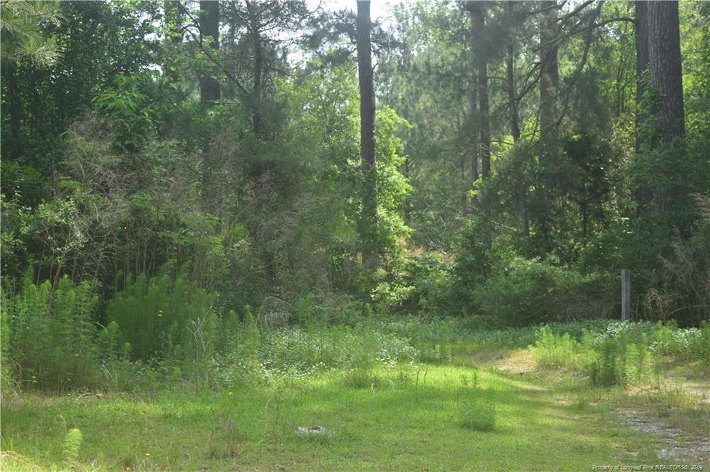 3841 Murdocksville Road - Photo 1